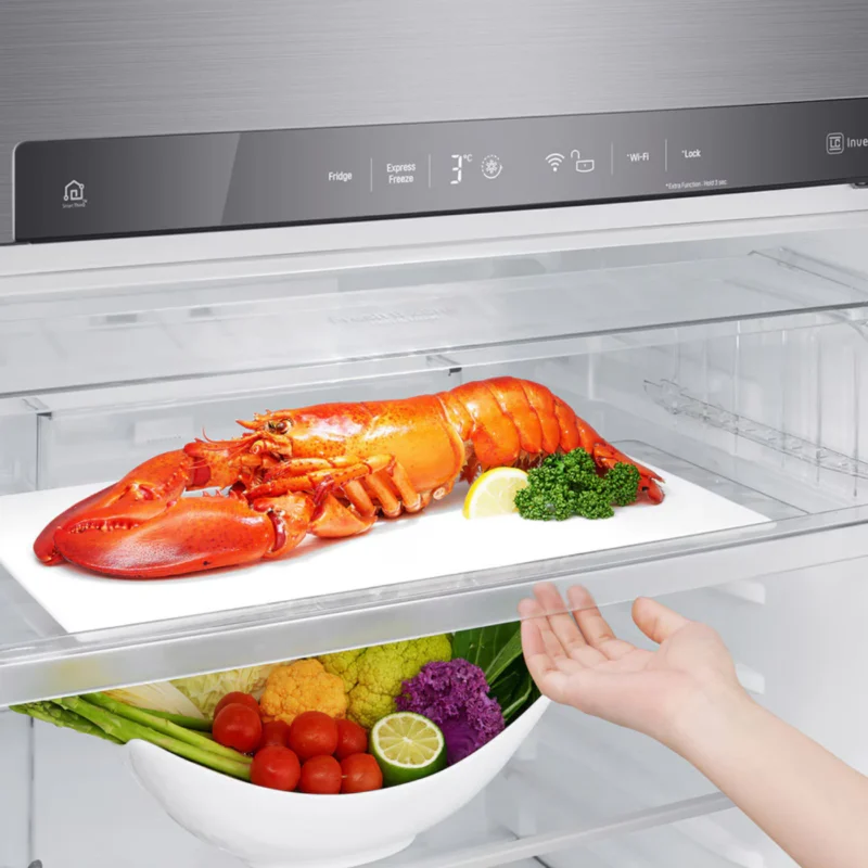 lg-refrigerator-506-liters-no-frost-2-doors-top-freezer-silver-model-gn-h722hfhl-angle9
