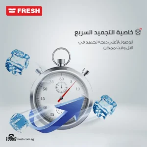 fresh-deep-freezer-5-vertical-drawers-silver-model-l250s-angle4