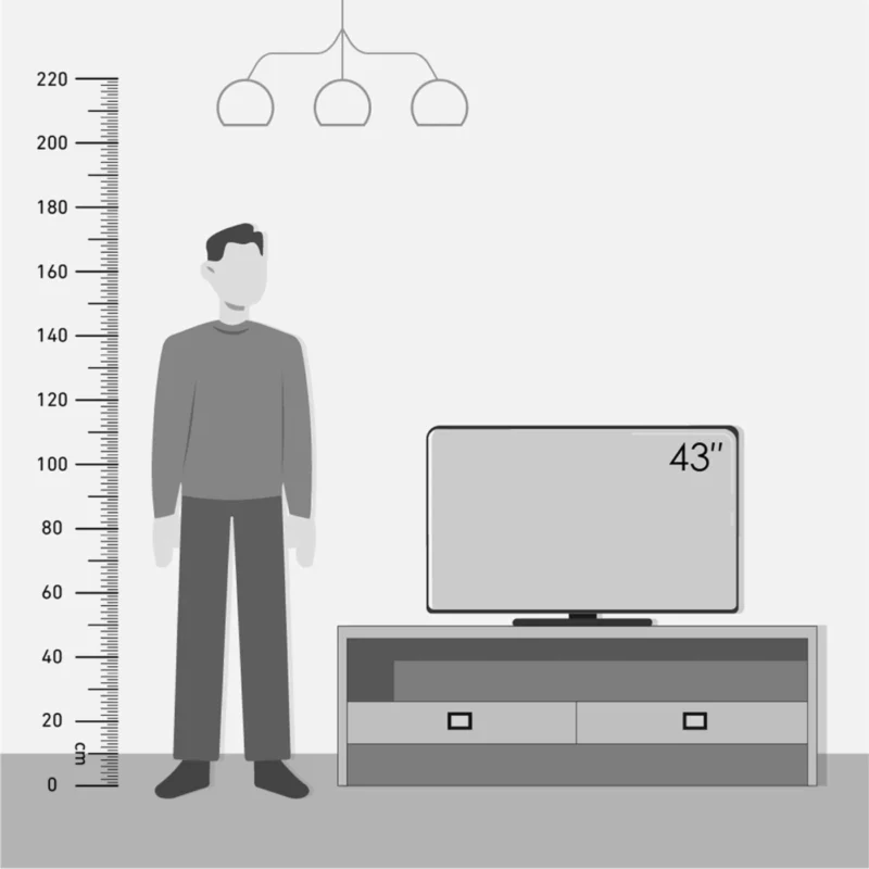 sharp-smart-tv-43-inches-2t-c43fg6ex-angle8